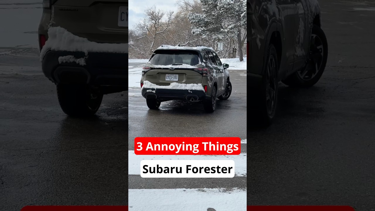 Book Your Subaru Forester Touring Today for an Unforgettable Chauffeur Experience in Miami