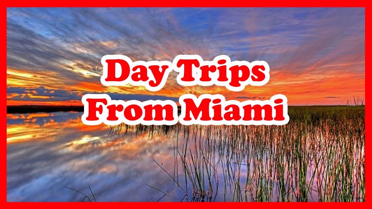 Book a Private Driver for Multi-Day Trips in Miami & South Florida